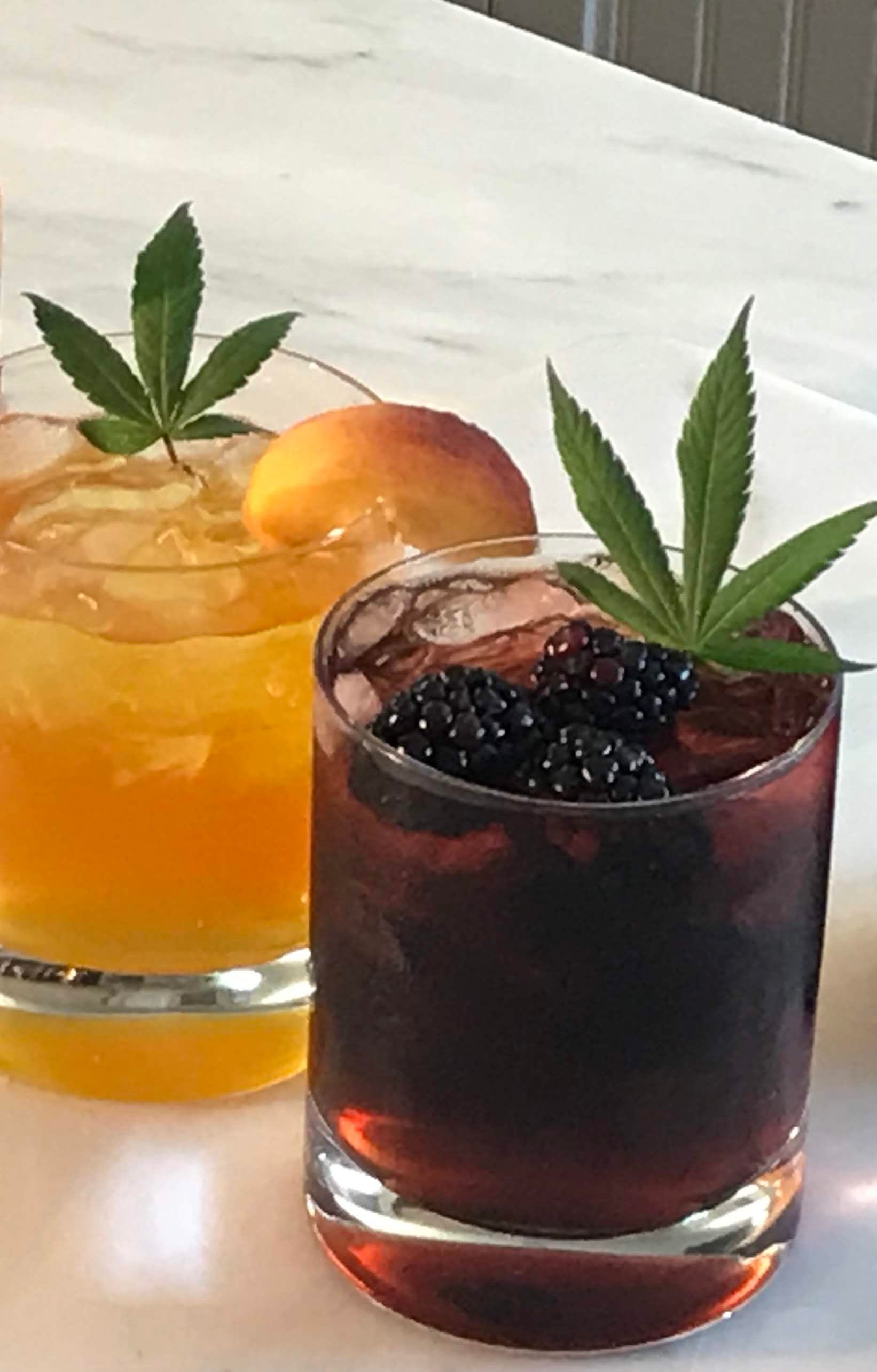 THC drinks versus gummies comparison with Chef Matt fast acting infused drinks and cannabis edible options