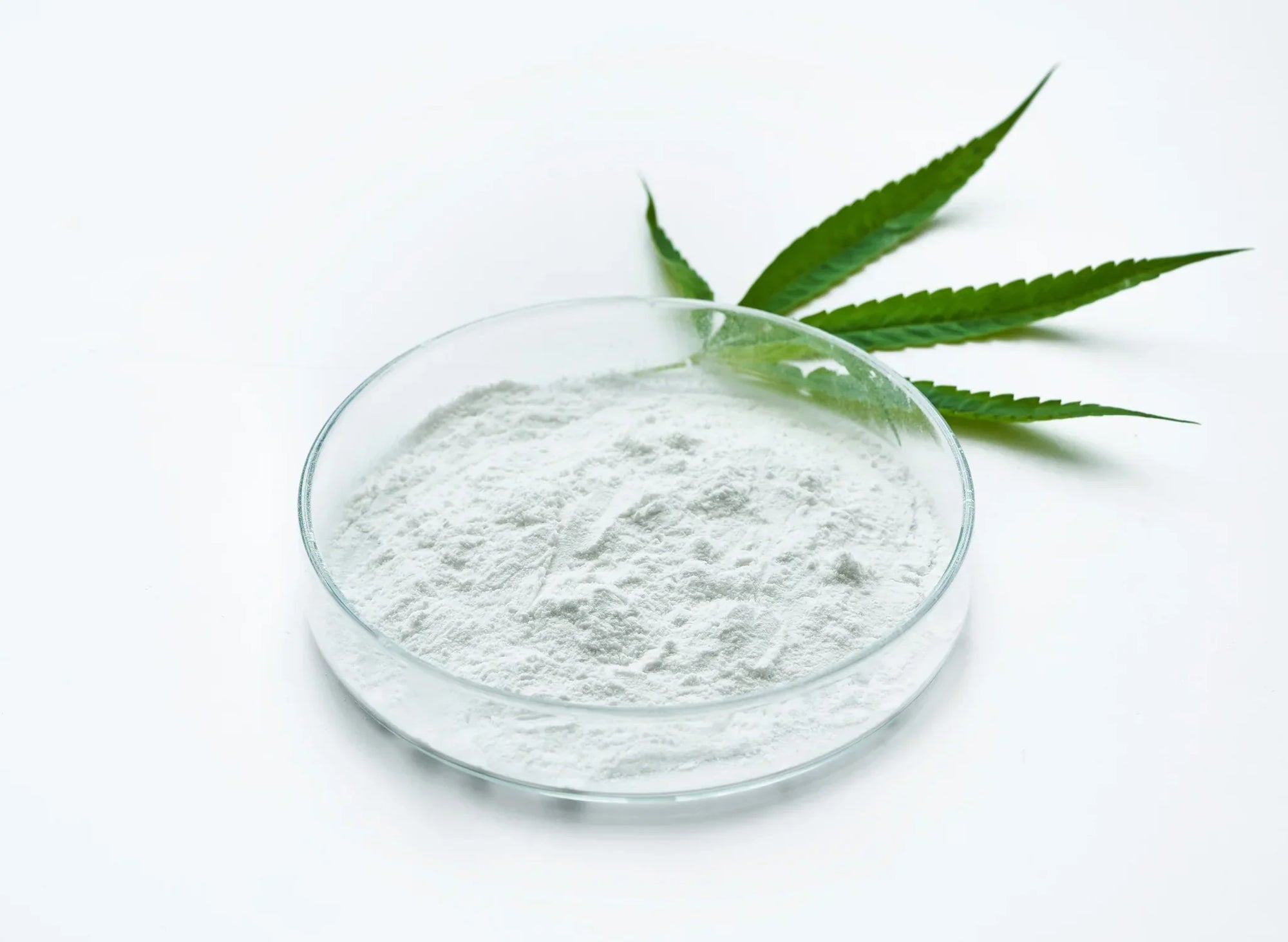 Edibles Not Working? Fix It + Nano vs THC Guide